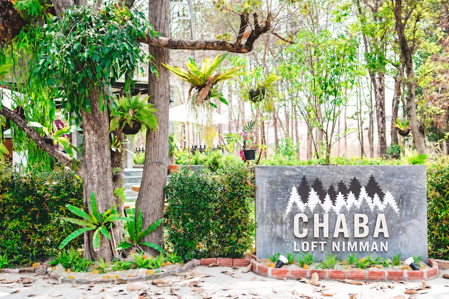 ป้าย CHABA LOFT NIMMAN